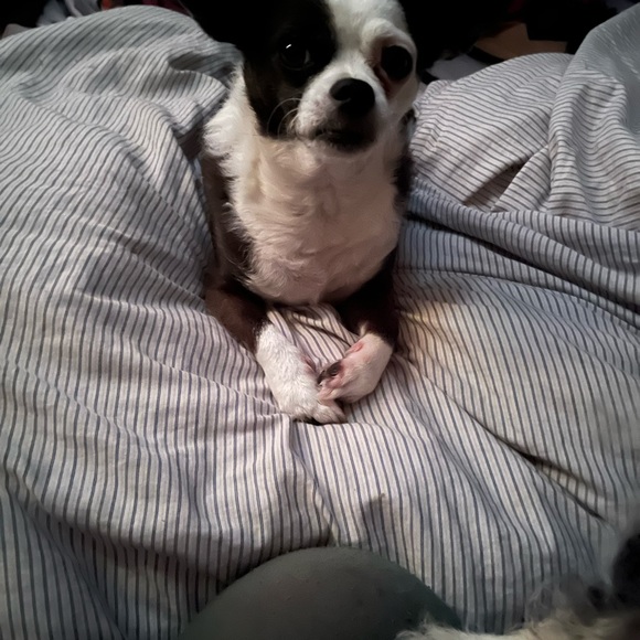 Hello, it’s Jenna and Lari! Thanks for stopping by!! - Picture 5 of 13